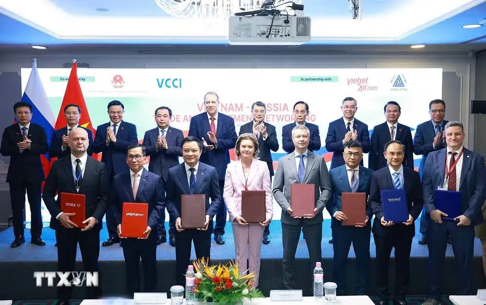 Mở rộng kh&ocirc;ng gian hợp t&aacute;c kinh tế Việt Nam - Li&ecirc;n bang Nga- Ảnh 1.