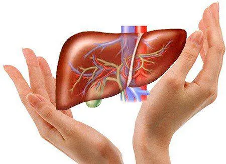 Nhận biết bệnh gan qua những dấu hiệu xuất hiện hằng ng&agrave;y Đừng bỏ qua những thay đổi nhỏ của cơ thể- Ảnh 1.