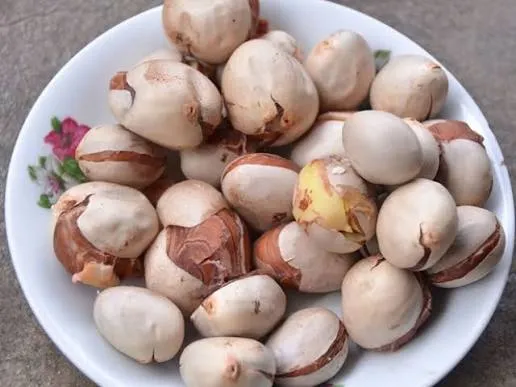 Ăn hạt m&iacute;t c&oacute; lợi g&igrave; cho sức khỏe?- Ảnh 1.