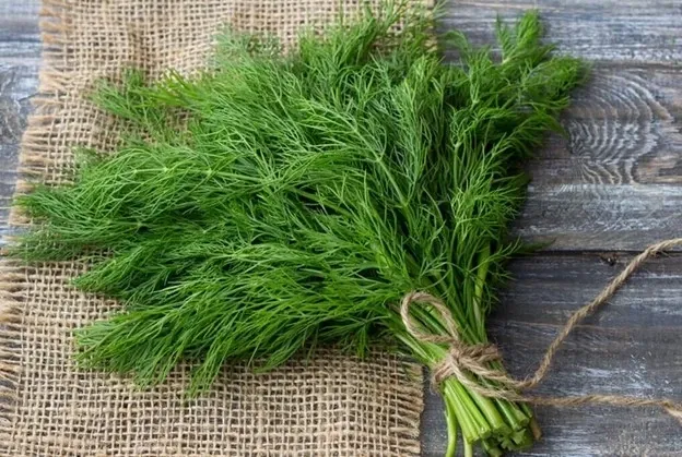 Rau th&igrave; l&agrave;: Loại rau quen thuộc gi&uacute;p giảm đau bụng kinh, hỗ trợ ngăn ngừa trầm cảm- Ảnh 1.