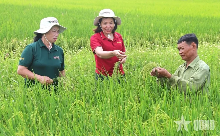 Mở rộng gi&aacute; trị n&ocirc;ng nghiệp qua xuất khẩu giống c&acirc;y trồng- Ảnh 1.