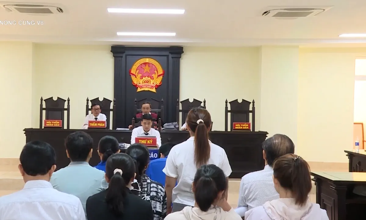 Tuy&ecirc;n &aacute;n 12 bị c&aacute;o trong vụ &aacute;n xảy ra tại CDC Đắk Lắk- Ảnh 1.