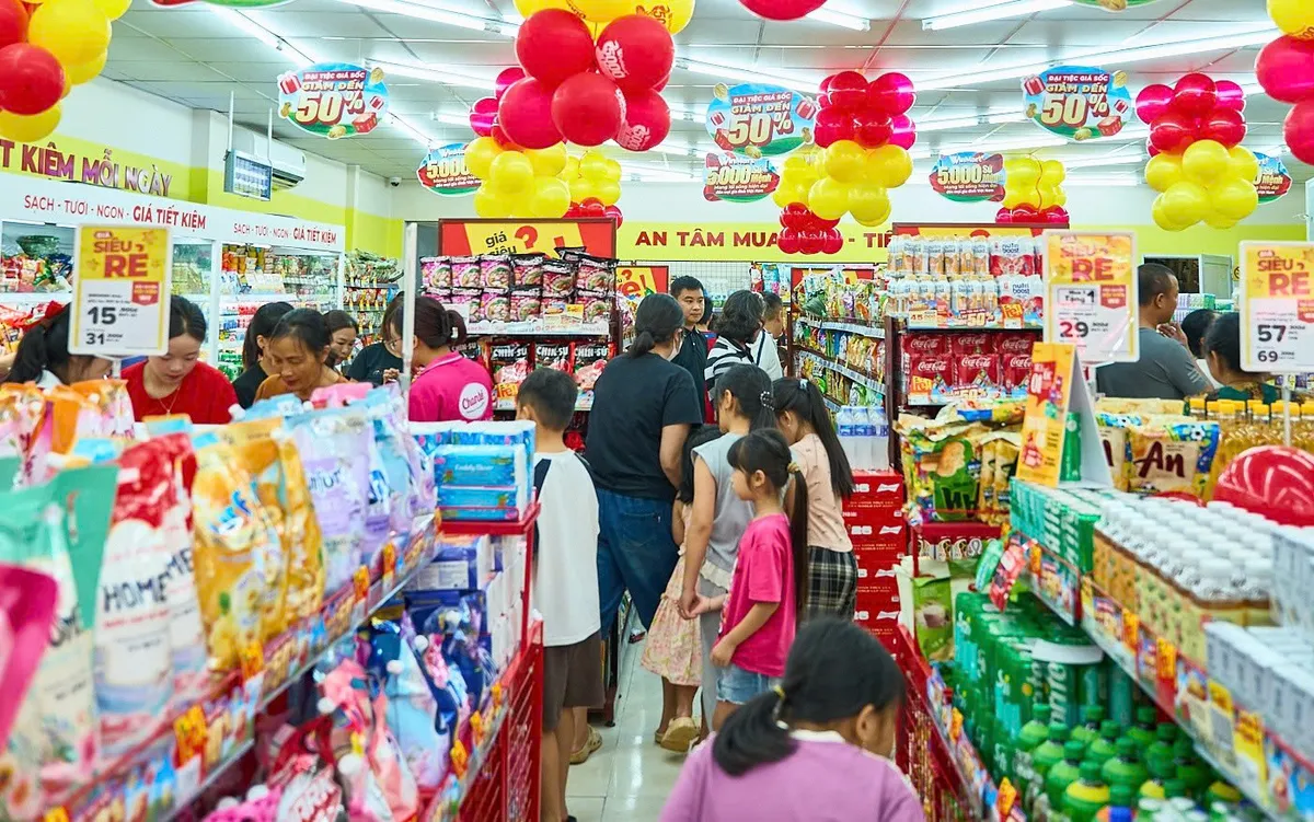 Từ đô thị đến vùng sâu: Cuộc đua giành thị trường bán lẻ mới - Ảnh 2.