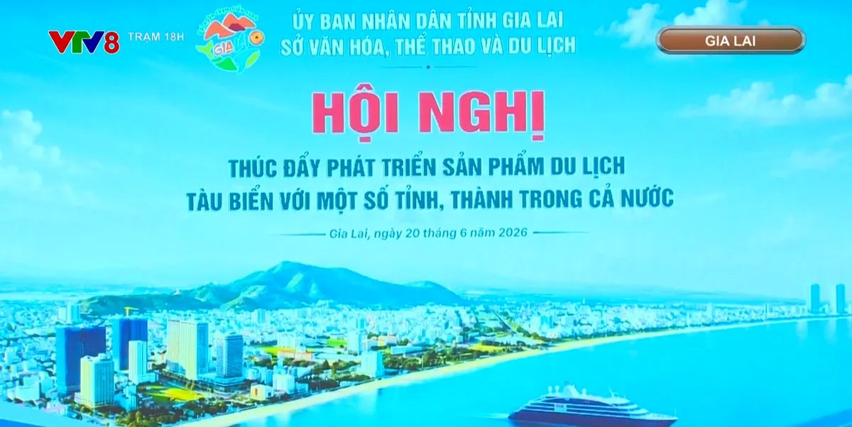 Hội nghị th&uacute;c đẩy ph&aacute;t triển sản phẩm du lịch t&agrave;u biển- Ảnh 1.