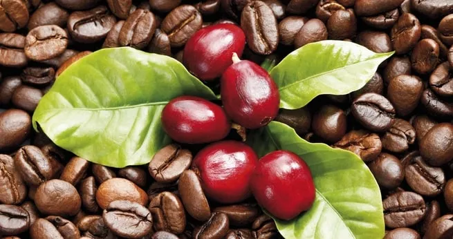 Gi&aacute; c&agrave; ph&ecirc; quay đầu giảm sau khi &aacute;p s&aacute;t mốc 90.000 đồng/kg, gạo xuất khẩu Việt Nam hạ nhiệt- Ảnh 1.