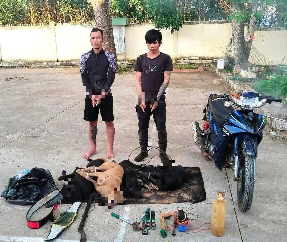 Trộm ch&oacute; manh động d&ugrave;ng s&uacute;ng điện chống trả lực lượng truy bắt ở L&acirc;m Đồng- Ảnh 1.