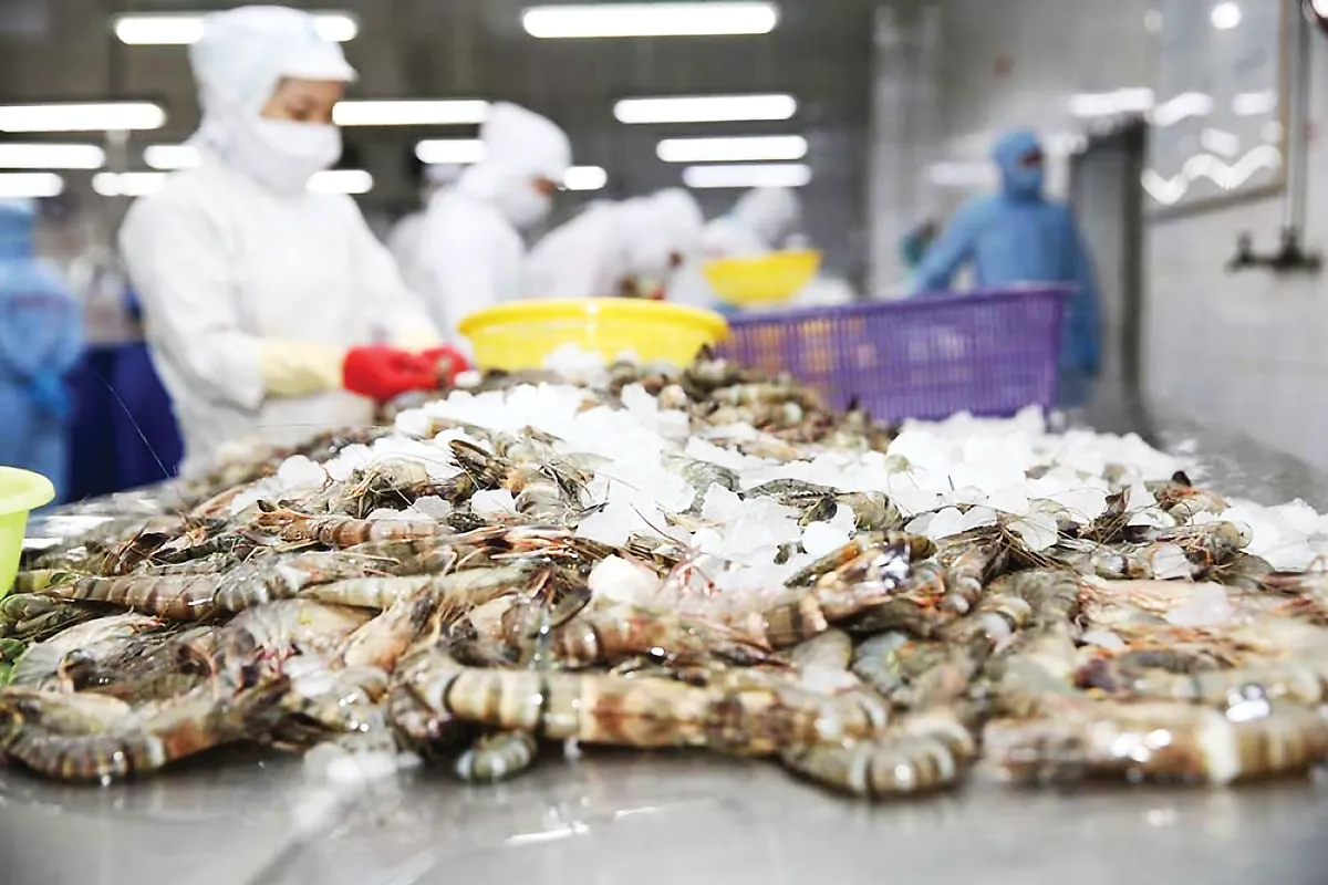 Minh bạch nguồn gốc hải sản - Ch&igrave;a kh&oacute;a n&acirc;ng cao gi&aacute; trị xuất khẩu thủy sản Việt Nam- Ảnh 1.