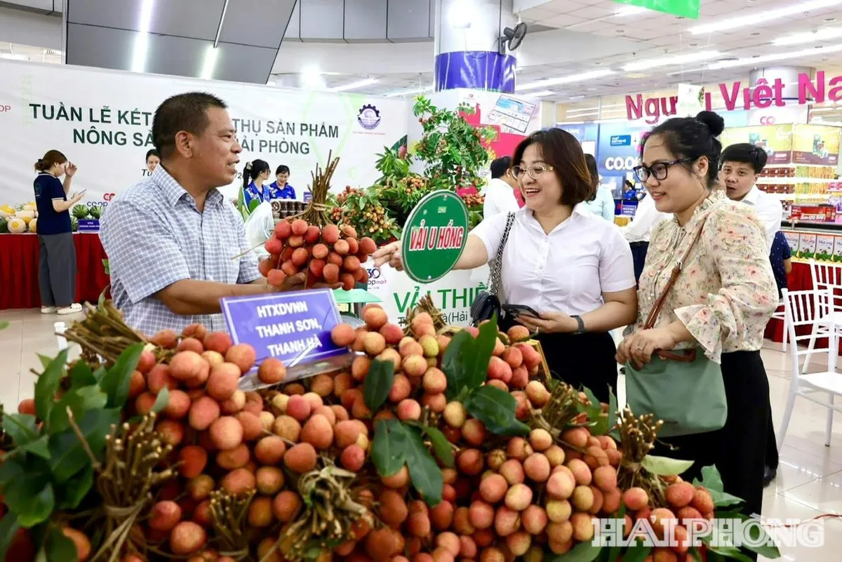Dự kiến 700 - 1.000 doanh nghiệp tham gia Th&aacute;ng khuyến mại Hải Ph&ograve;ng- Ảnh 1.