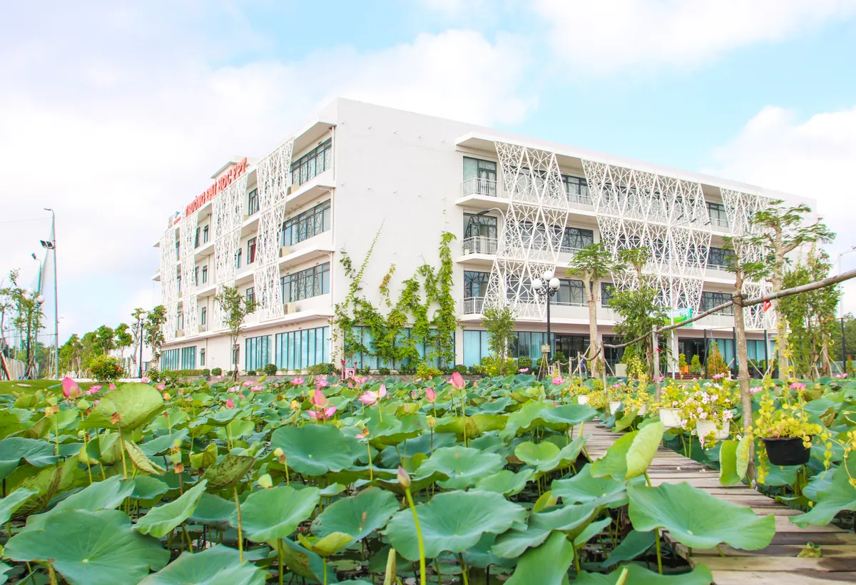 Hồ sen cực lung linh ngay trong khuôn viên trường đại học - Ảnh 1.