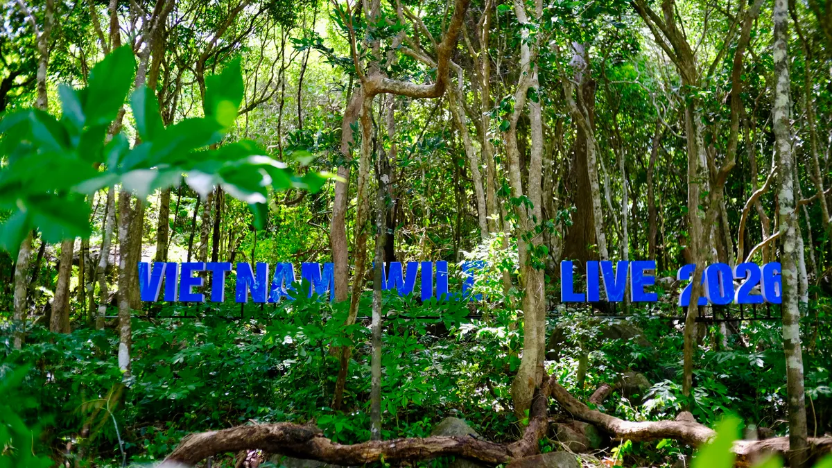 Hậu trường Vietnam Wild Live by VTV trước giờ l&ecirc;n s&oacute;ng trực tiếp - Ảnh 5.