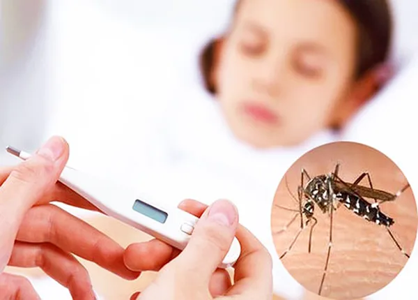 Bác sĩ cảnh báo 2 sai lầm nguy hiểm có thể khiến bệnh nhân sốt xuất huyết trở nặng- Ảnh 1. Bác sĩ cảnh báo 2 sai lầm nguy hiểm có thể khiến bệnh nhân sốt xuất huyết trở nặng- Ảnh 1.