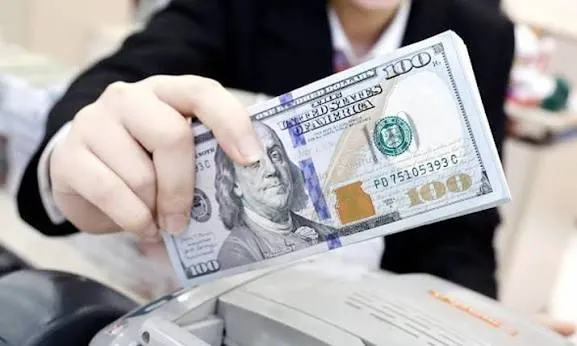 USD tiếp tục leo thang, euro v&agrave; bảng Anh đồng loạt mất gi&aacute;- Ảnh 1.