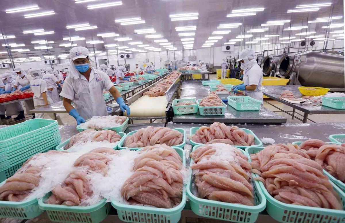 Xuất khẩu thủy sản tăng gần 13%, ng&agrave;nh t&ocirc;m kỳ vọng đưa kim ngạch cả năm vượt 12 tỷ USD- Ảnh 1.