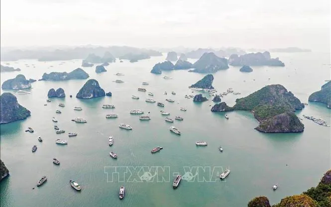 Vịnh Hạ Long. Ảnh minh họa: TTXVN.