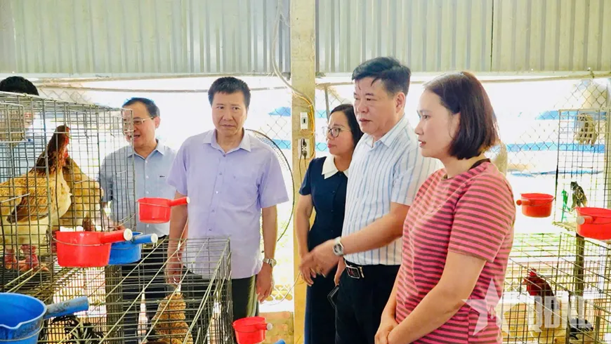Thay đổi tư duy sản xuất ở v&ugrave;ng cao L&agrave;o Cai- Ảnh 1.