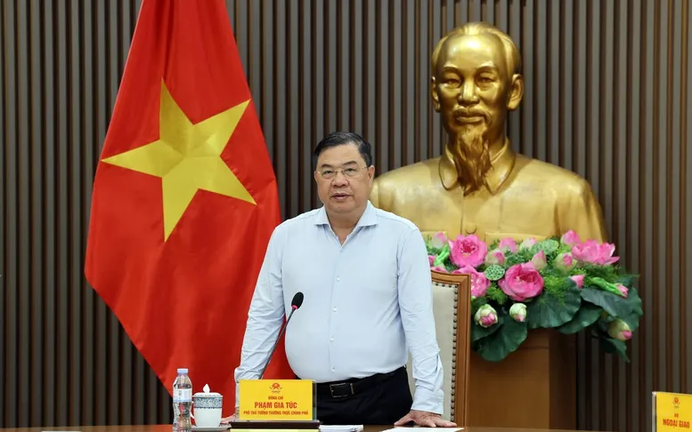 Ủy viên Bộ Chính trị, Phó Thủ tướng Thường trực Phạm Gia Túc chủ trì cuộc họp Ủy ban Hợp tác Việt Nam – Lào. Ảnh: VGP