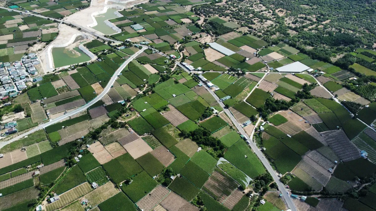 Kh&aacute;nh H&ograve;a tăng cường quản l&yacute; m&atilde; số v&ugrave;ng trồng, cơ sở đ&oacute;ng g&oacute;i n&ocirc;ng sản - Ảnh 1.