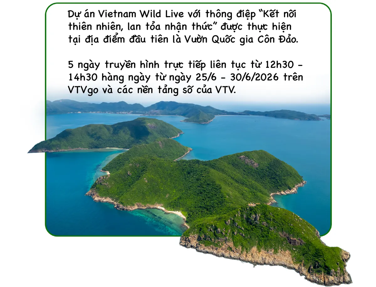 Vietnam Wild Live mở m&agrave;n tại C&ocirc;n Đảo: Đ&aacute;nh đổi kịch bản lấy khoảnh khắc nguy&ecirc;n sơ của tự nhi&ecirc;n- Ảnh 5.