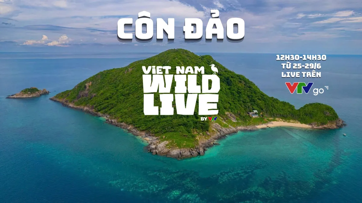 12h30 (25/6) - Lần đầu ti&ecirc;n thi&ecirc;n nhi&ecirc;n hoang d&atilde; tại H&ograve;n Trứng (C&ocirc;n Đảo) được truyền h&igrave;nh trực tiếp- Ảnh 1.