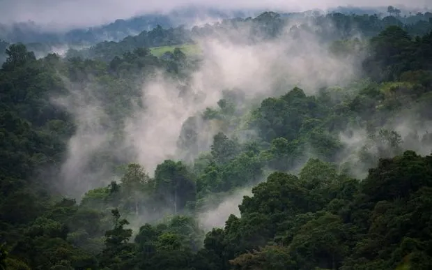 Nhiều khu vực tại Papua New Guinea đối mặt với nguy cơ thiếu lương thực do sương giá và hạn hán. (Ảnh: The Guardian)