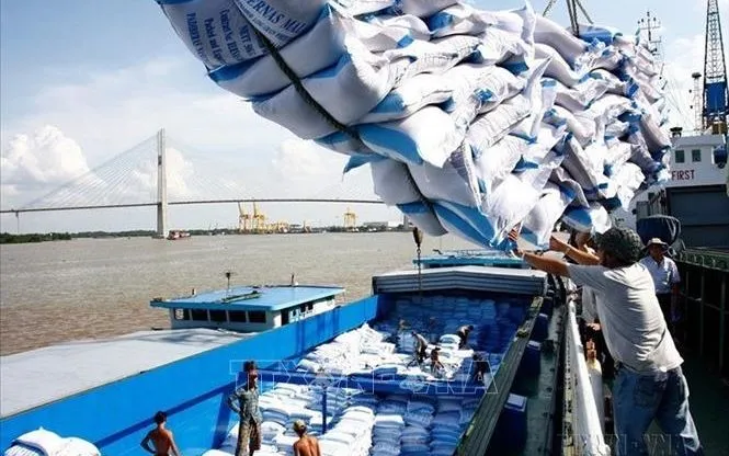 Bốc xếp gạo xuất khẩu qua cảng Sài Gòn. Ảnh tư liệu: Đình Huệ/TTXVN