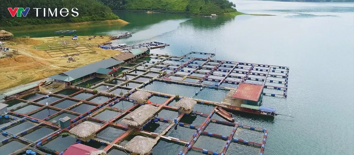 Chăn nuôi quy mô lớn: Động lực mới cho tăng trưởng kinh tế Lai Châu- Ảnh 8.