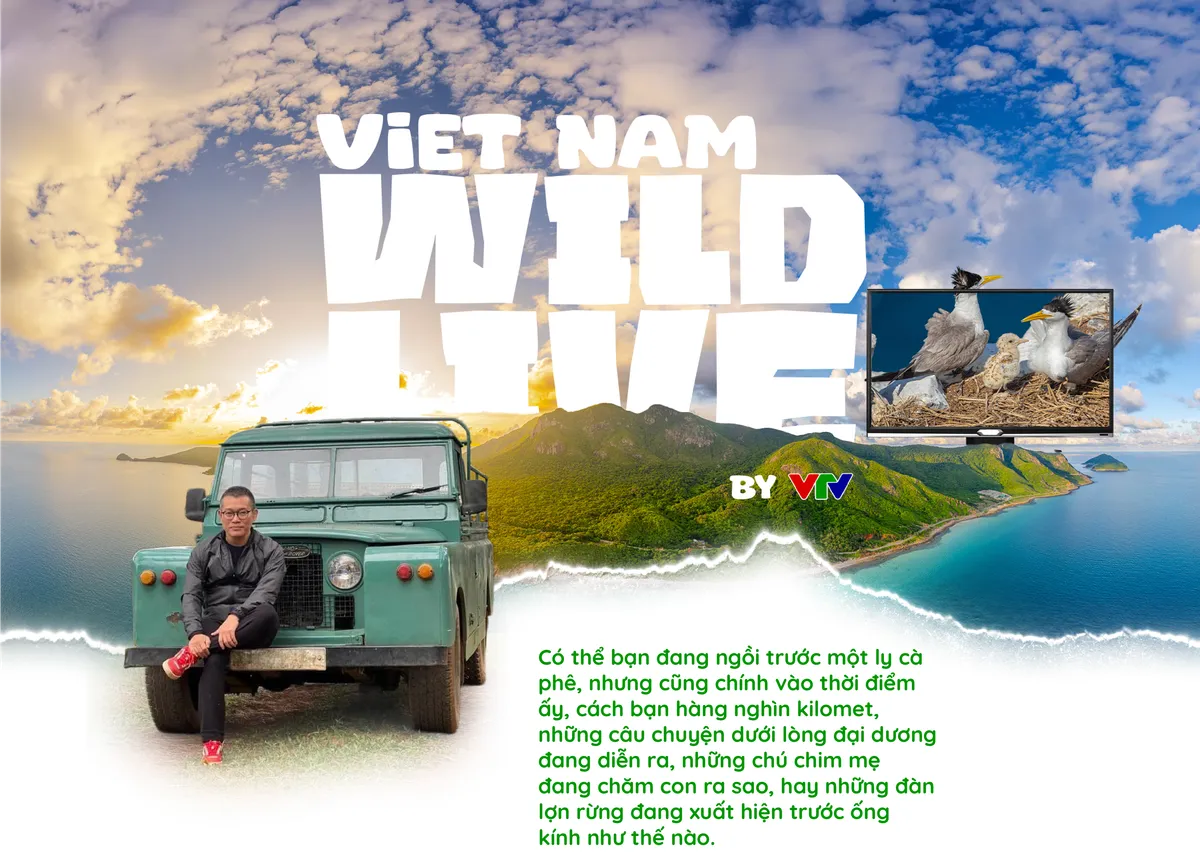 Vietnam Wild Live mở m&agrave;n tại C&ocirc;n Đảo: Đ&aacute;nh đổi kịch bản lấy khoảnh khắc nguy&ecirc;n sơ của tự nhi&ecirc;n- Ảnh 7.