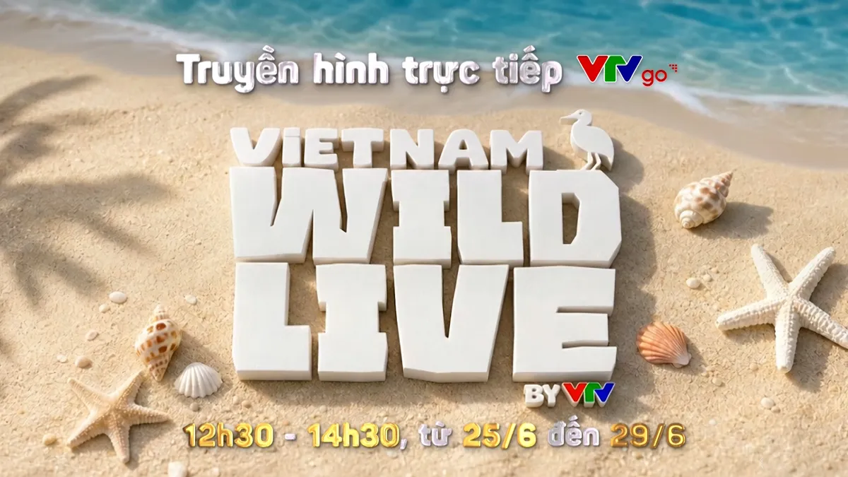 12h30 (25/6) - Lần đầu ti&ecirc;n thi&ecirc;n nhi&ecirc;n hoang d&atilde; tại H&ograve;n Trứng (C&ocirc;n Đảo) được truyền h&igrave;nh trực tiếp- Ảnh 12.