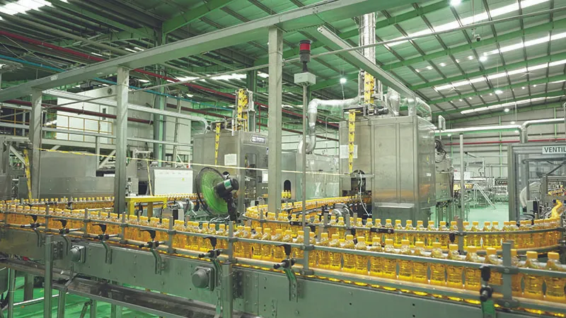Cuộc đại phẫu thủ tục kinh doanh: Khơi th&ocirc;ng động lực tăng trưởng- Ảnh 1.
