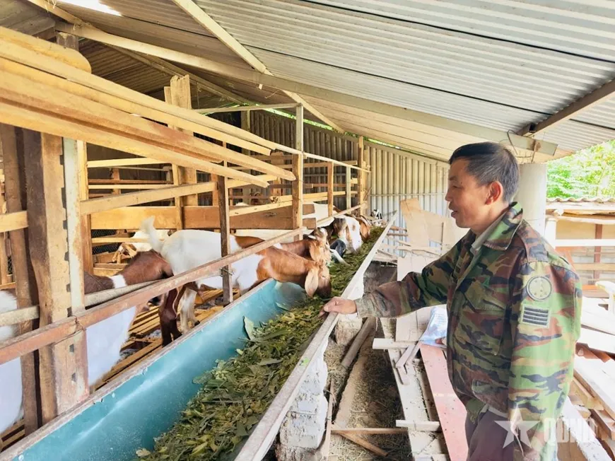 Hà Tĩnh: Làm giàu từ mô hình chăn nuôi tổng hợp trên vùng đất biên giới xã Sơn Hồng- Ảnh 2.