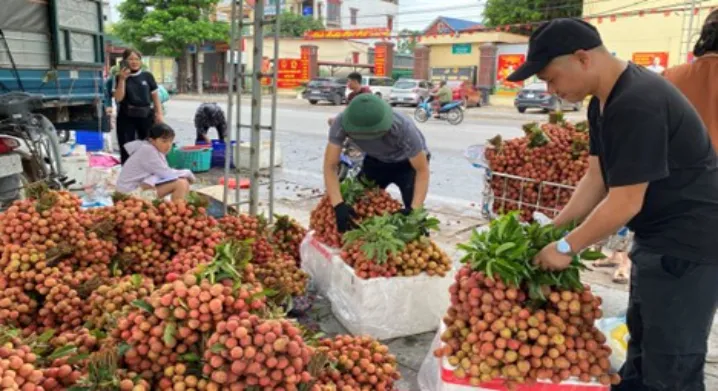 Vải thiều Bắc Ninh lập m&ugrave;a v&agrave;ng gi&aacute; trị, doanh thu tiến s&aacute;t mốc 6.000 tỷ đồng - Ảnh 1.