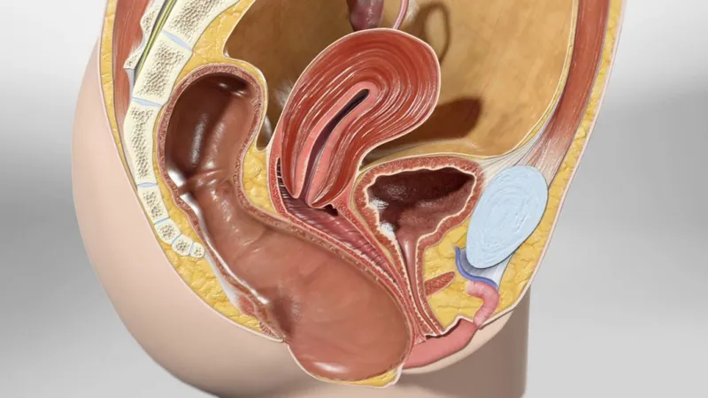 Sa trực tr&agrave;ng c&oacute; nguy hiểm kh&ocirc;ng? Những biến chứng c&oacute; thể xảy ra nếu chậm điều trị- Ảnh 1.