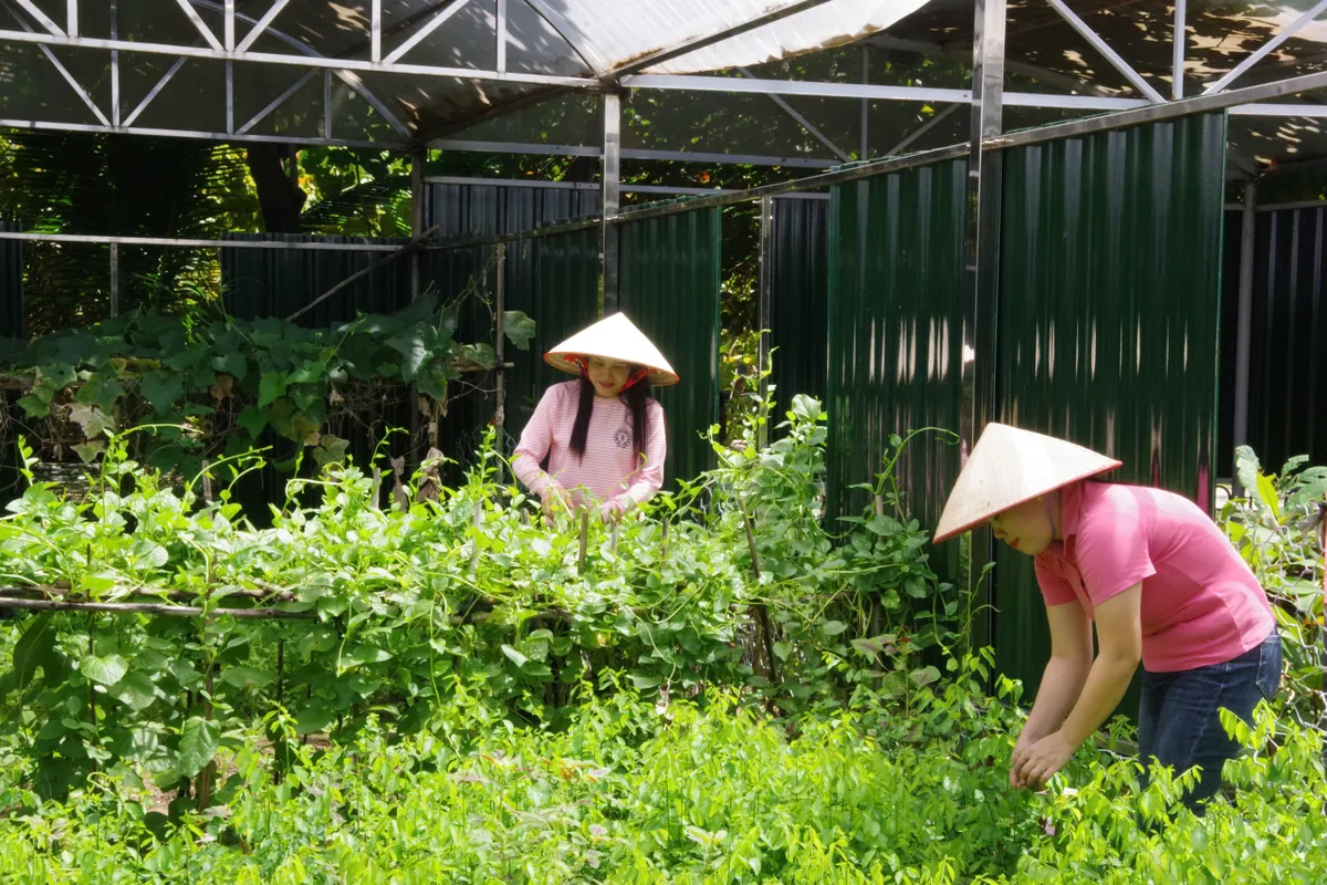 Trường Sa nơi đầu s&oacute;ng: Sức sống m&atilde;nh liệt từ những m&aacute;i ấm gia đ&igrave;nh - Ảnh 3.