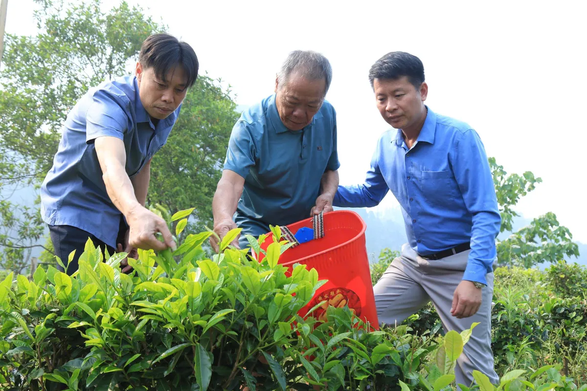 Chuyển đổi c&acirc;y trồng tr&ecirc;n v&ugrave;ng đất "kh&aacute;t" - Ảnh 4.