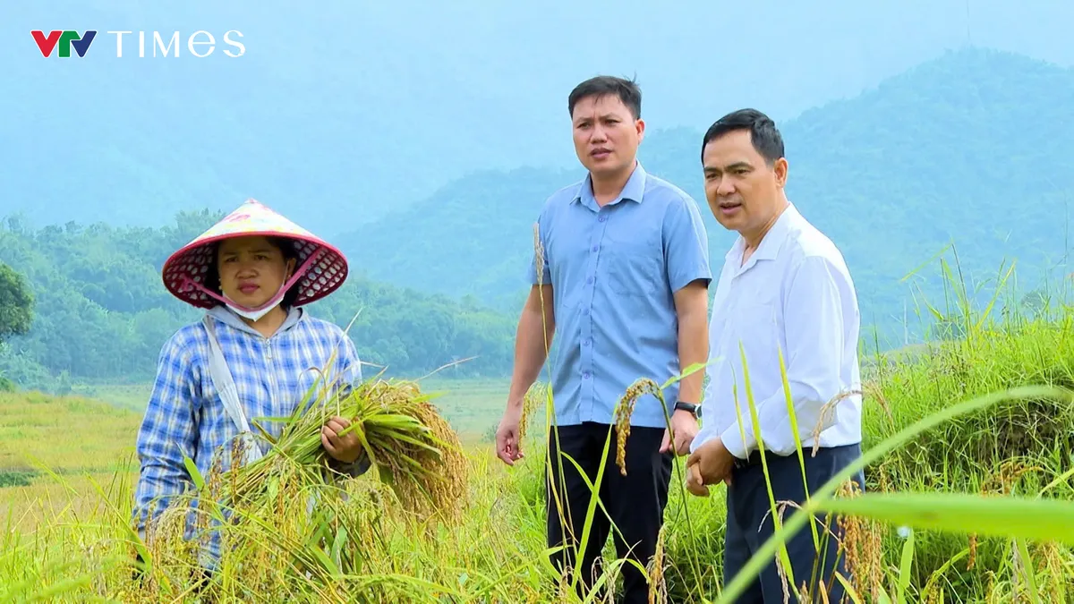 Xã Quang Chiểu (Thanh Hóa) đưa Nghị quyết 68-NQ/TW vào phát triển kinh tế tư nhân - Ảnh 3.