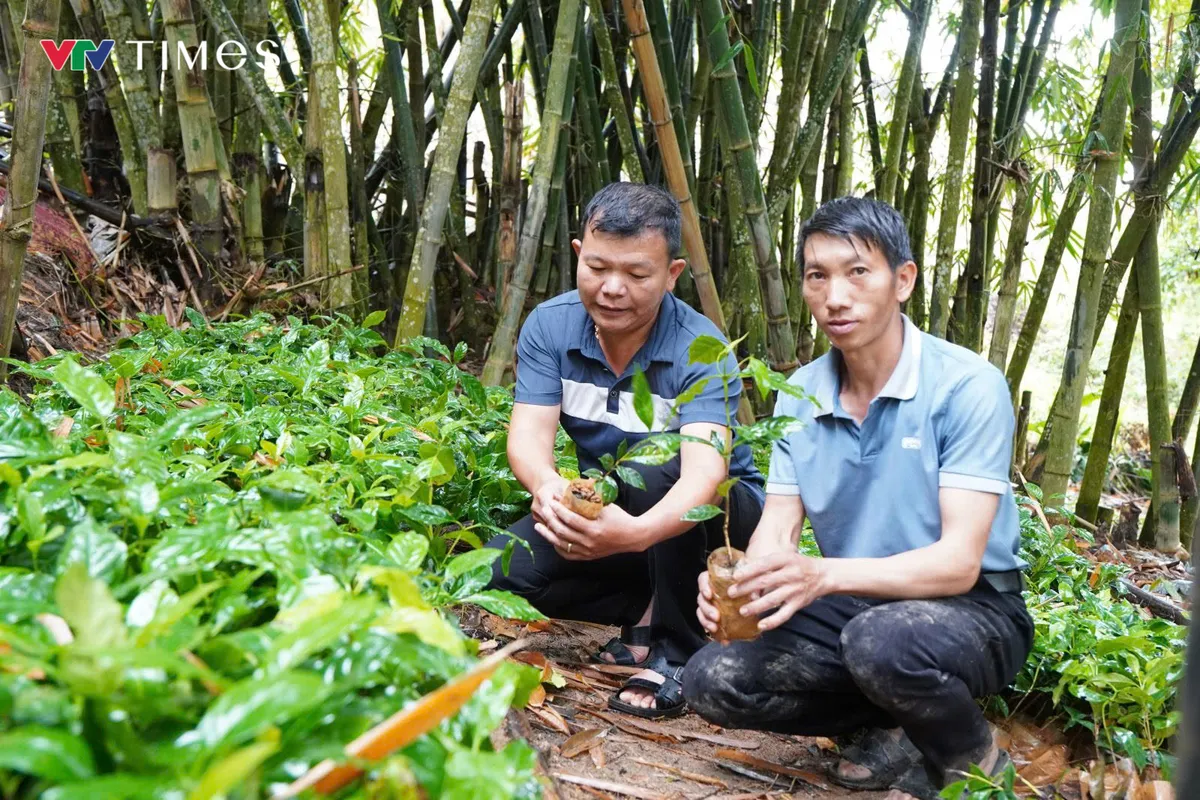 Xã Quang Chiểu (Thanh Hóa) đưa Nghị quyết 68-NQ/TW vào phát triển kinh tế tư nhân - Ảnh 5.