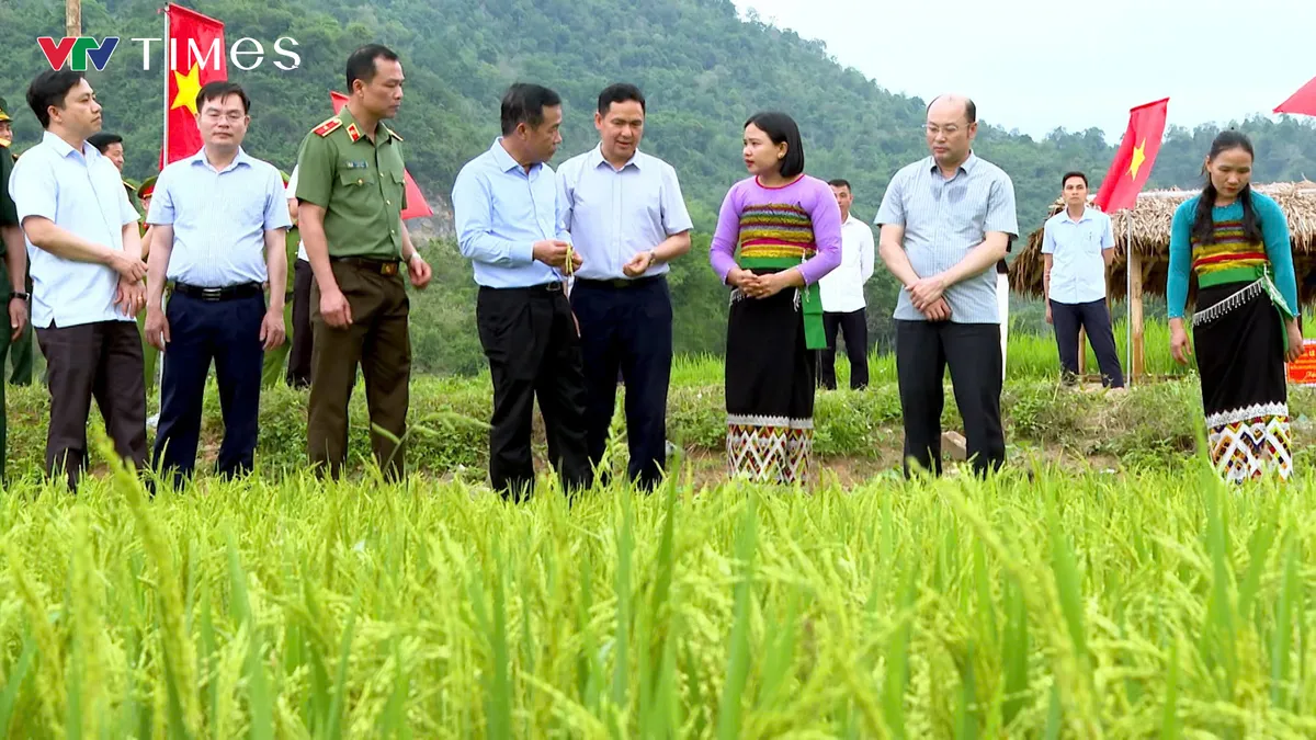 Xã Quang Chiểu (Thanh Hóa) đưa Nghị quyết 68-NQ/TW vào phát triển kinh tế tư nhân - Ảnh 1.