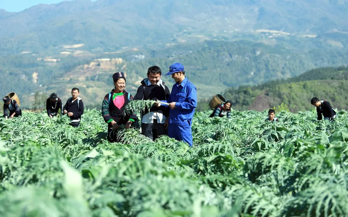 (Ảnh: Báo Chính phủ)