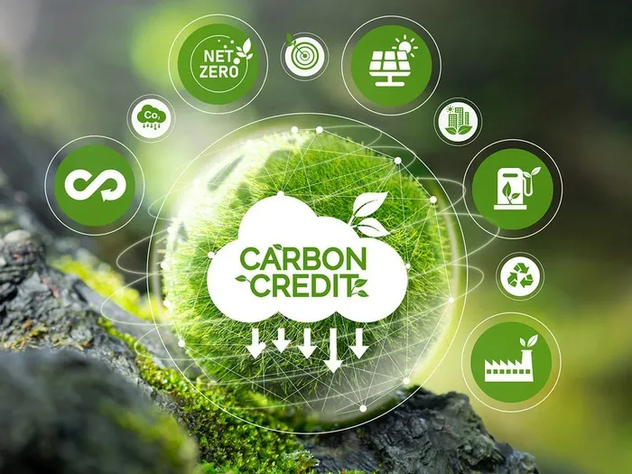 Việt Nam ch&iacute;nh thức đưa s&agrave;n giao dịch carbon v&agrave;o hoạt động  - Ảnh 1.
