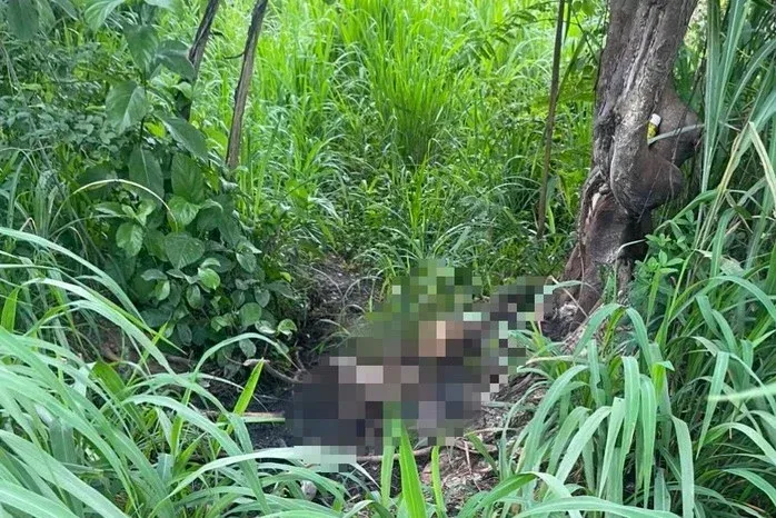 Công an TPHCM kêu gọi cung cấp thông tin vụ phát hiện bộ xương người tại khu đô thị Đại học Quốc gia- Ảnh 1. Công an TPHCM kêu gọi cung cấp thông tin vụ phát hiện bộ xương người tại khu đô thị Đại học Quốc gia- Ảnh 1.