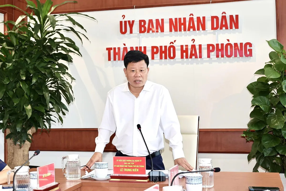 Hải Ph&ograve;ng tăng tốc xử l&yacute; quỹ nh&agrave;, đất c&ocirc;ng kh&ocirc;ng sử dụng- Ảnh 1.