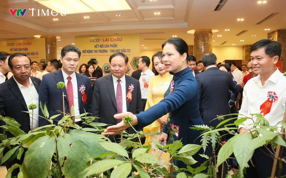 Các đồng chí lãnh đạo tỉnh Lai Châu cùng đại biểu tham quan khu trưng bày, giới thiệu sản phẩm OCOP bên lề Hội nghị Xúc tiến đầu tư tỉnh Lai Châu năm 2026. Ảnh: Quốc Hưng