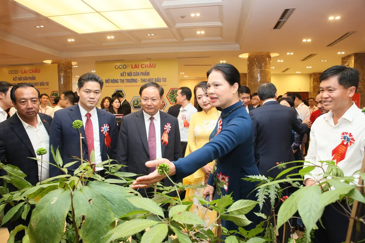 Lai Ch&acirc;u mở "luồng xanh" đ&oacute;n d&ograve;ng vốn hơn 199.000 tỷ đồng- Ảnh 5.