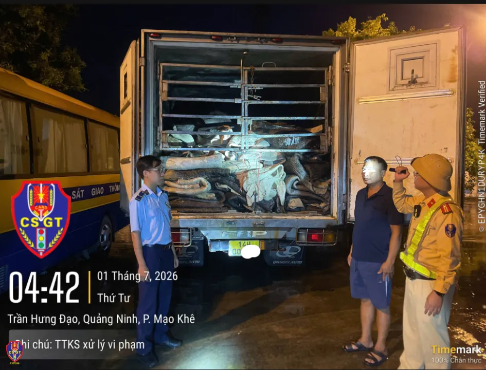 Ph&aacute;t hiện xe tải đ&ocirc;ng lạnh chở gần 9 tấn da tr&acirc;u muối kh&ocirc;ng r&otilde; nguồn gốc - Ảnh 1.