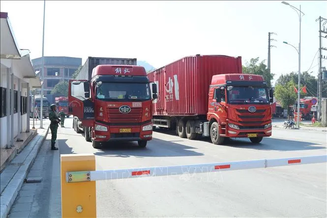 Danh mục 12 nhóm hàng hóa phải làm thủ tục hải quan tại cửa khẩu nhập
- Ảnh 1.