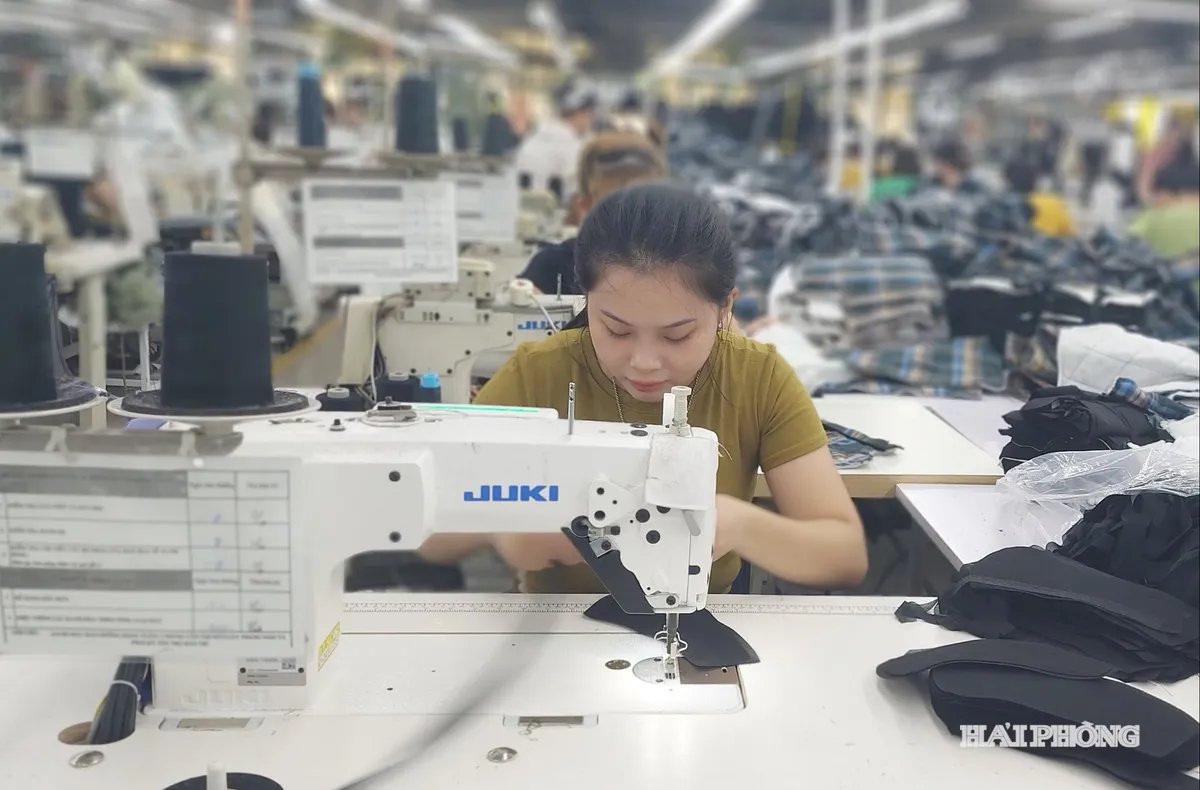 7 nguồn lực hỗ trợ doanh nghiệp tận dụng các hiệp định thương mại tự do
- Ảnh 1.