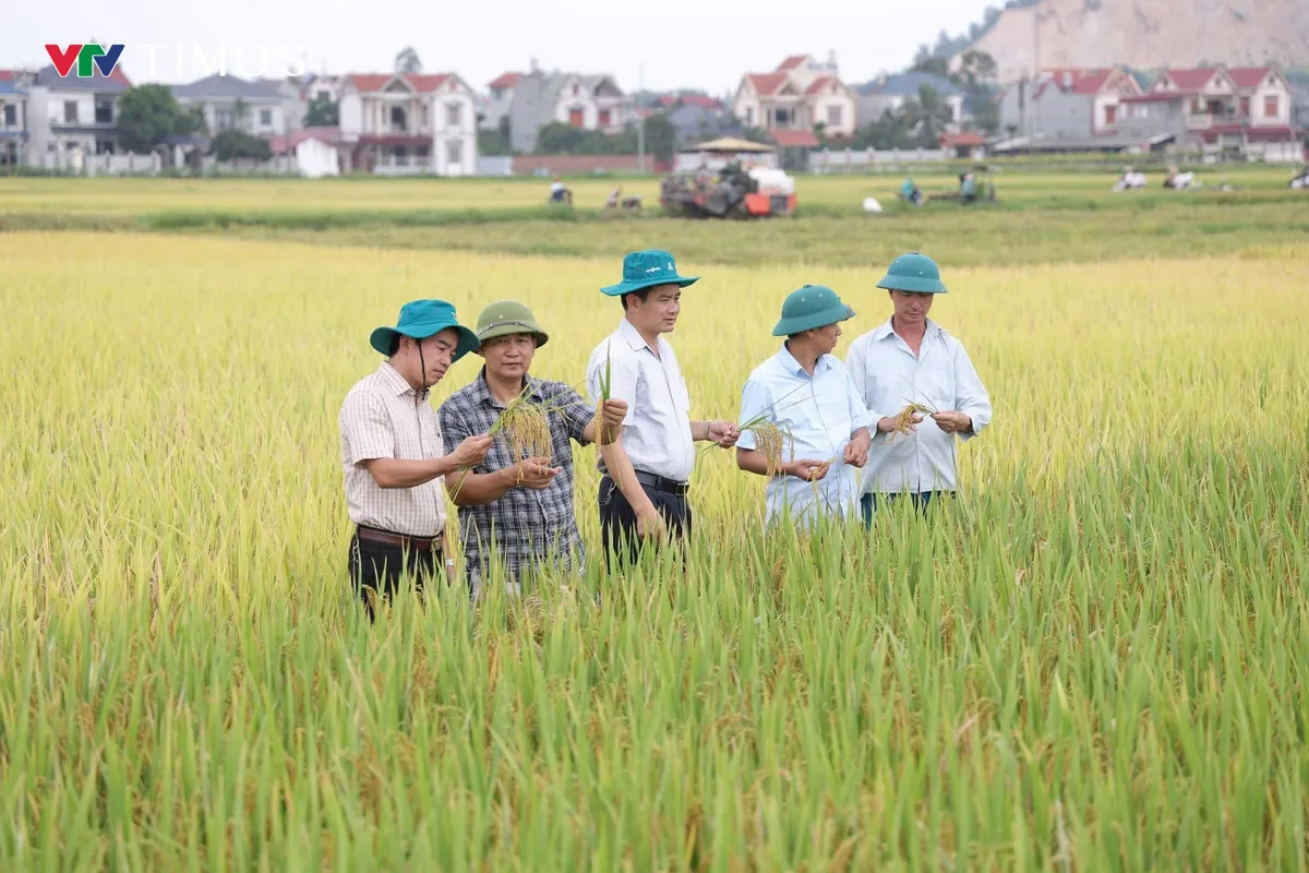 Bắc Ninh: Phường Vân Hà một năm kiến tạo nền hành chính gần dân, vì dân - Ảnh 5.