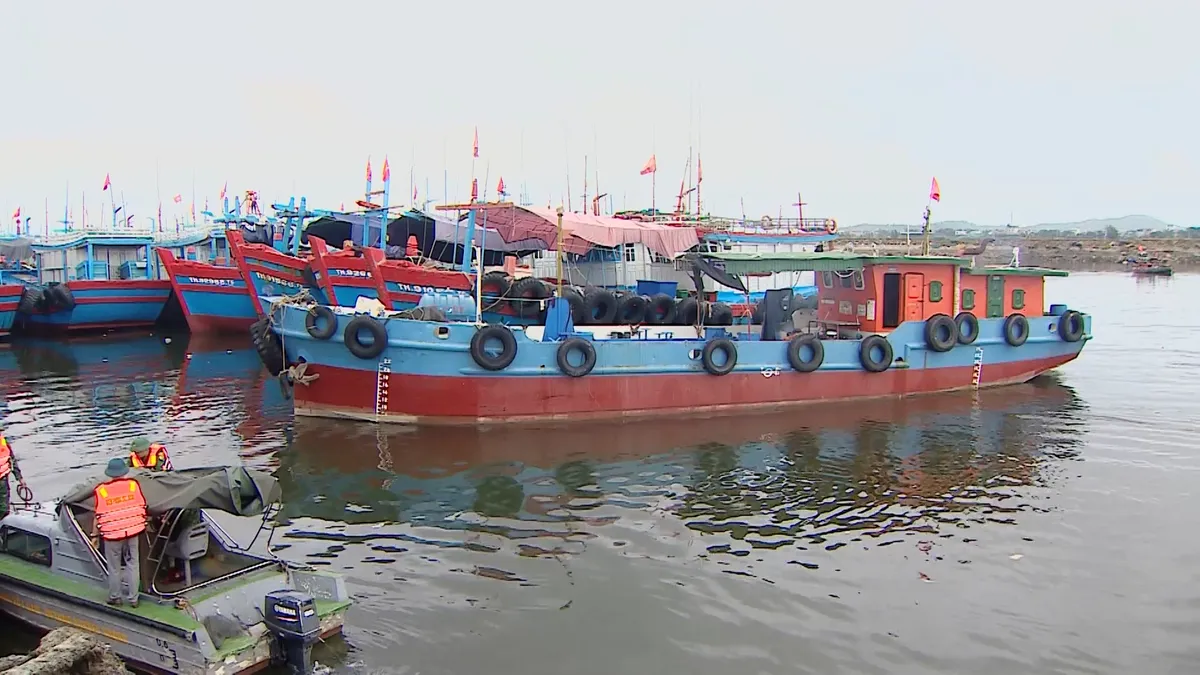 Thanh Ho&aacute;: Khẩn trương k&ecirc;u gọi t&agrave;u thuyền v&agrave;o nơi tr&aacute;nh tr&uacute; an to&agrave;n- Ảnh 1.