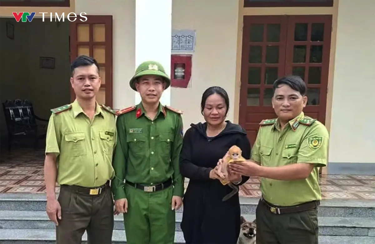 Nghệ An: Li&ecirc;n tiếp &ldquo;giải cứu&rdquo; nhiều động vật qu&yacute; hiếm, thả về m&ocirc;i trường tự nhi&ecirc;n - Ảnh 1.