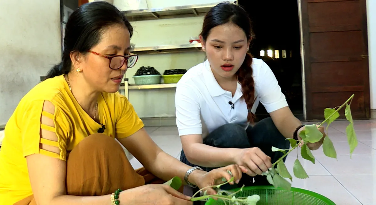 Bánh ít lá gai Bình Định: Giá trị văn hóa từ món ăn đặc sản bản địa- Ảnh 1. Bánh ít lá gai Bình Định: Giá trị văn hóa từ món ăn đặc sản bản địa- Ảnh 1.